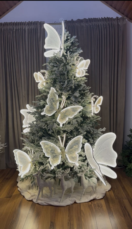 Brad de inchiriat Fluturi Miscatori 240cm